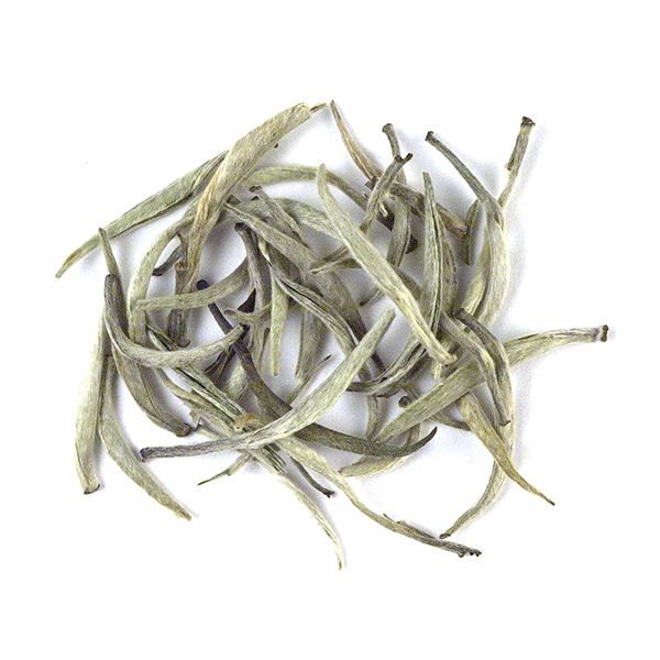 Ceylon Silver Tips White Tea | Upton Tea Imports